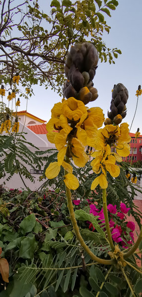 IMG_20190218_183308